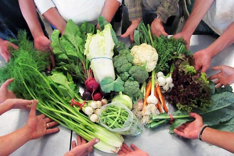 Slow Food responde a la consulta de la UE sobre la Política Agrícola Común