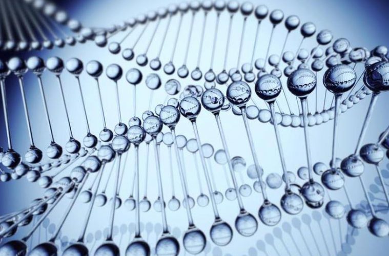 Alimentando la Ciencia, proyecto de divulgación científica del IA2. Foto European Researchers Night