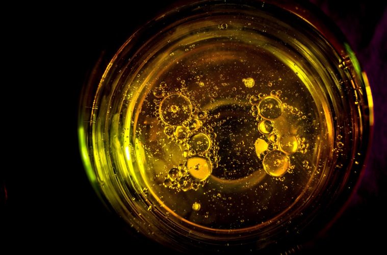 La campaña del aceite de oliva - Datos actualizados