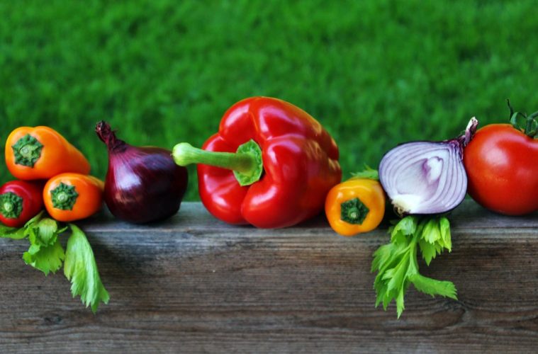Las exportaciones agroalimentarias españolas crecieron en los últimos años