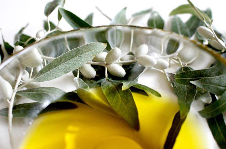 Bioeconomía sostenible aplicada al olivar