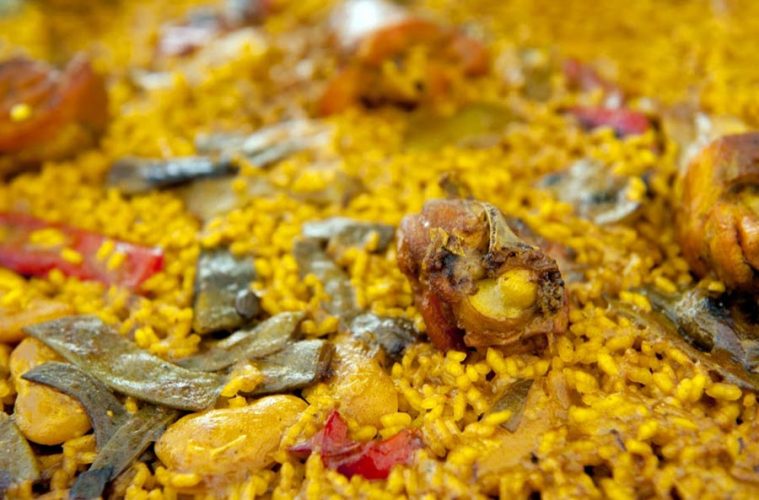 La Ribera de Xúquer a través de sus arroces