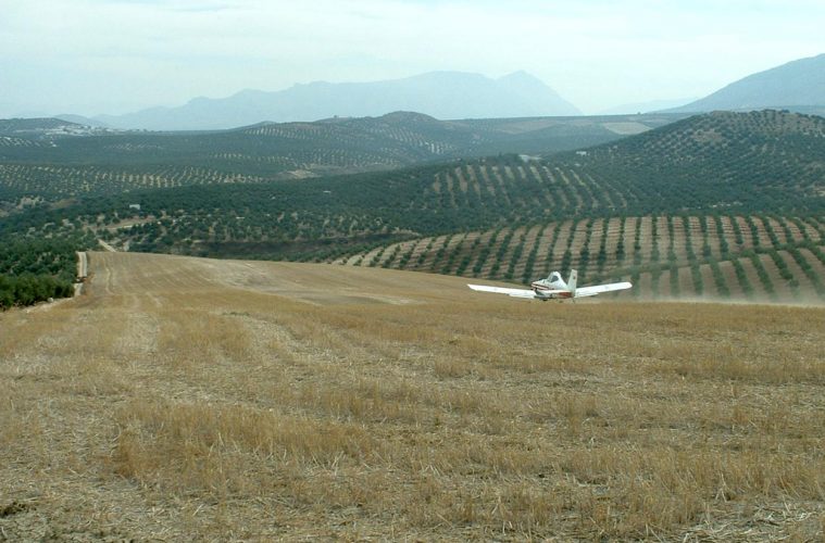 Tratamiento aéreo contra la mosca del olivo en Sierra Mágina