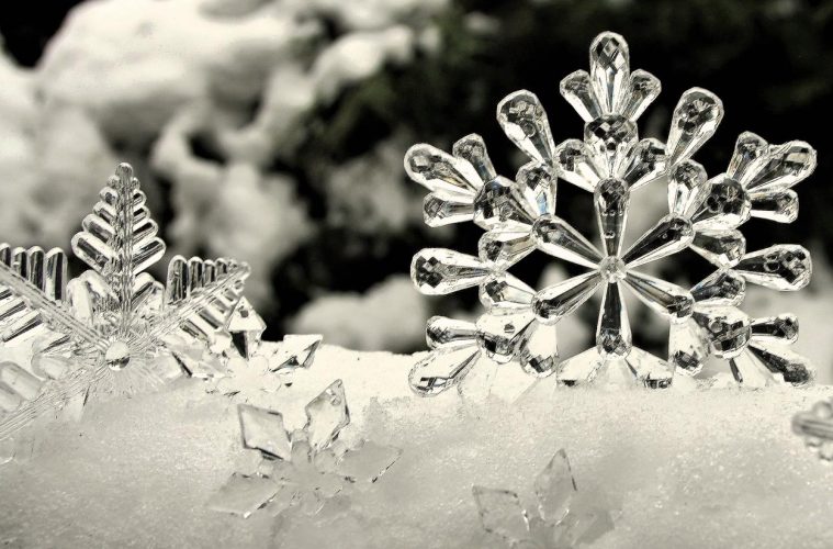 Actividades medioambientales navideñas en Madrid