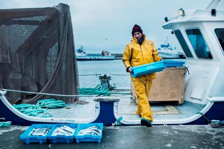 La mitad de la producción mundial de pescado proviene ya de la acuicultura