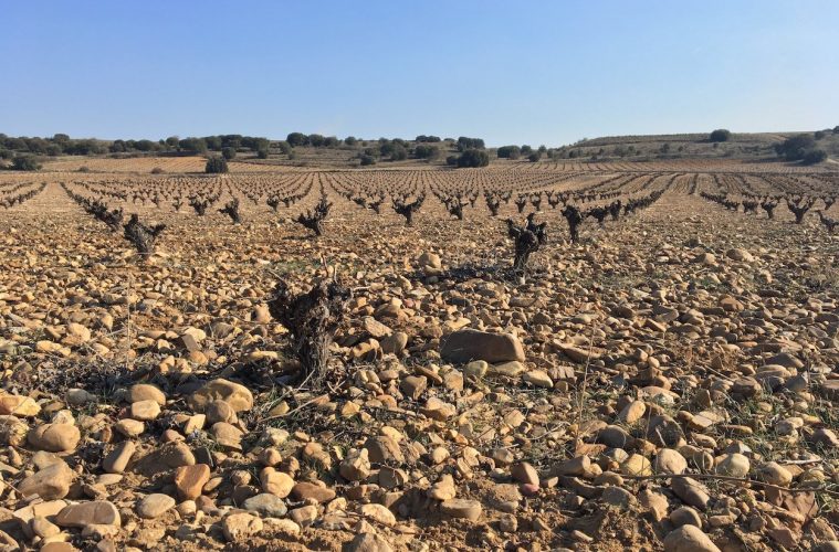 Toro, nueva Ruta del Vino de España