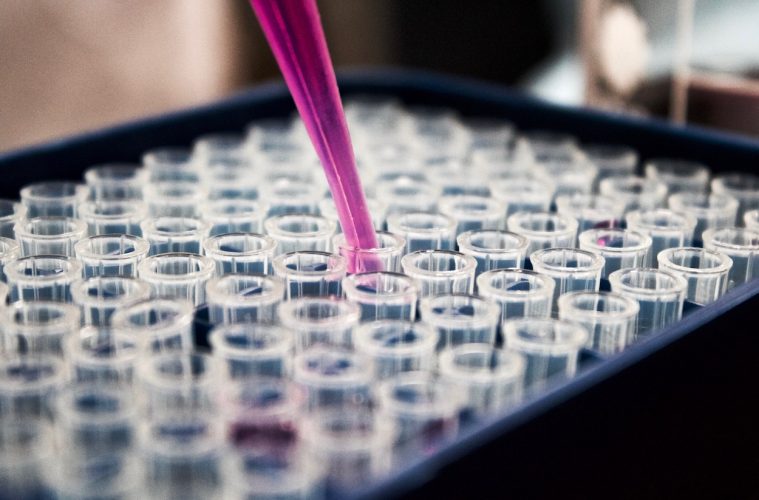 Proyecto para desarrollar nutraceúticos a partir de residuos alimenticios
