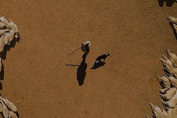 La fotografía como arma contra el despoblamiento rural