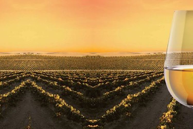 Pagos del Sherry, iniciativa enoturística para dinamizar el viñedo del Marco de Jerez