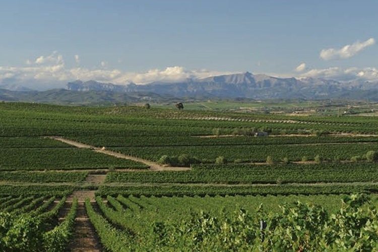 Noviembre, mes de enoturismo en Somontano