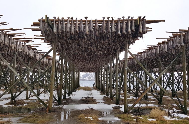 La mayor pesquería internacional del mar del Norte se hace sostenible