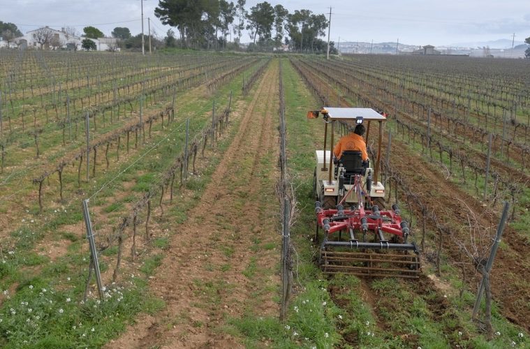 Tractores eléctricos por un viñedo más sostenible