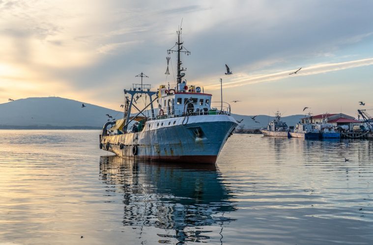 La UE modifica el reglamento de pesca como medida de apoyo al sector