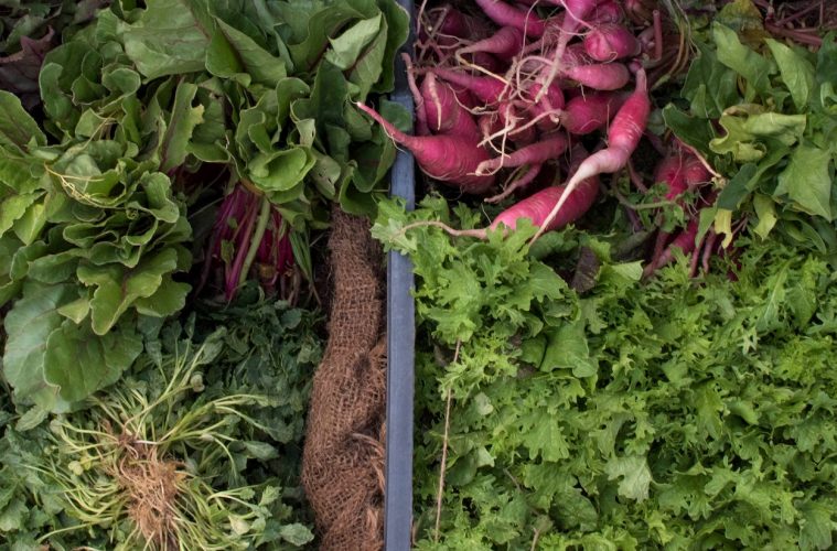 La AICA impone más de 250 sanciones al sector alimentario en el primer semestre