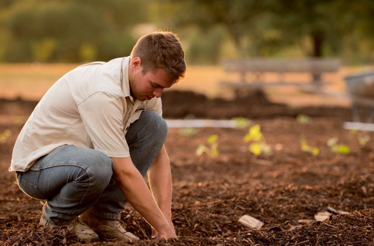 En nuevo Plan de Seguros Agrarios duplicará el porcentaje de subvención para agricultores jóvenes