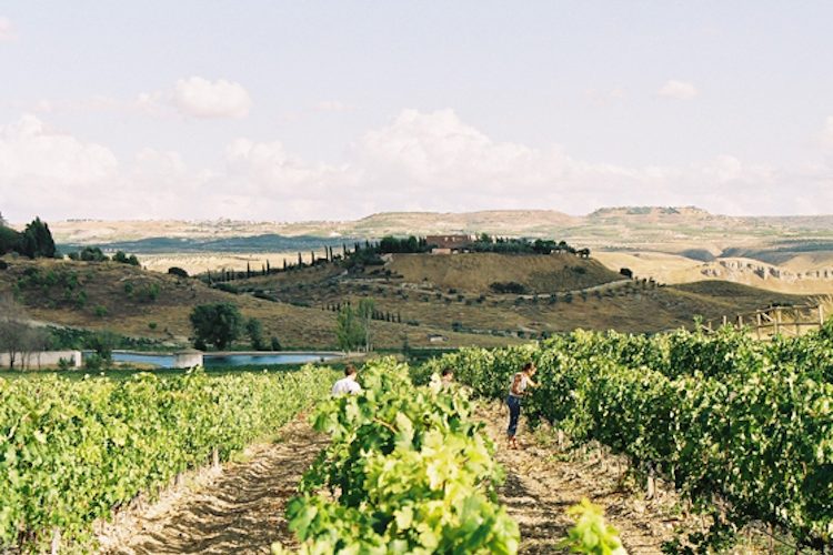 Madrid se incorpora a las Rutas del Vino de España