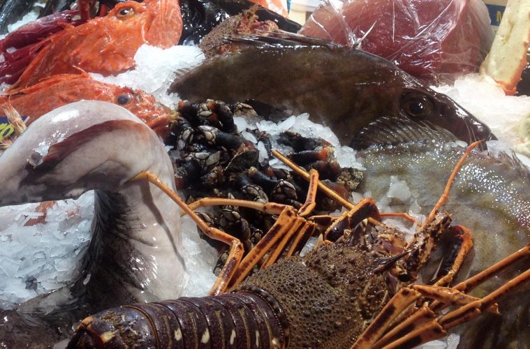 A punto un nuevo curso de Experto en Comercialización de Productos de Pesca