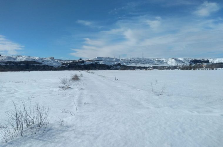 Los efectos de la nevada - Foto UPA