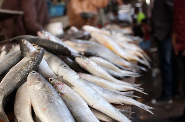 Los pescaderos piden que se reconozca su carácter esencial de cara a la vacunación