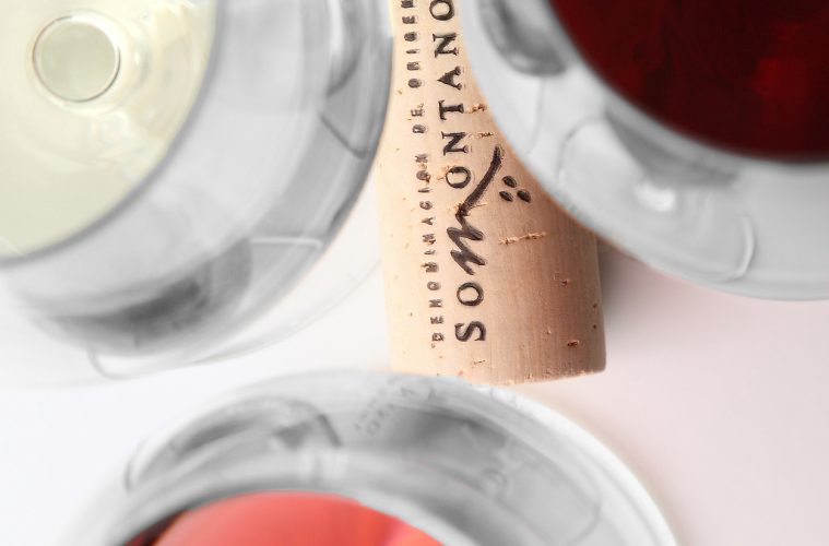 La añada 2020 de los vinos Somontano, calificada como Excelente