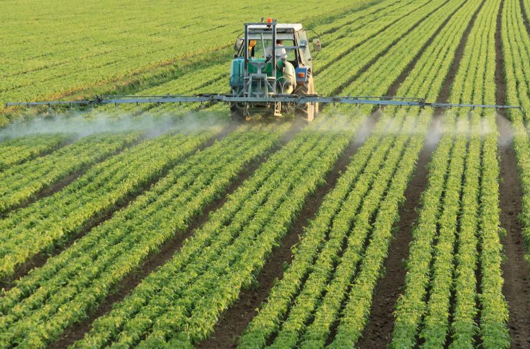 Mayor control sobre los fitosanitarios para mejorar la calidad y seguridad de los alimentos - Foto MAPA