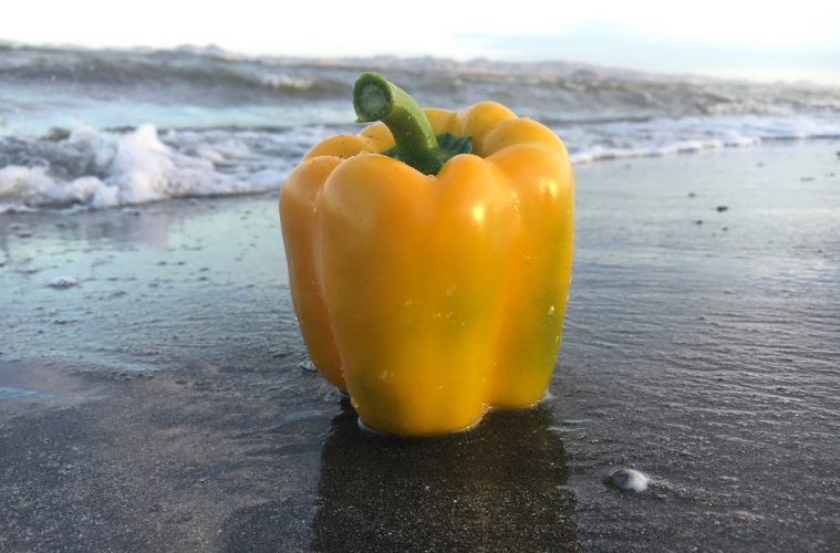 Pimientos que son muy fotográficos