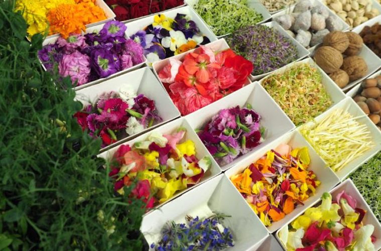 Por una alimentación más sostenible, eje central de Gastronomic Forum Barcelona