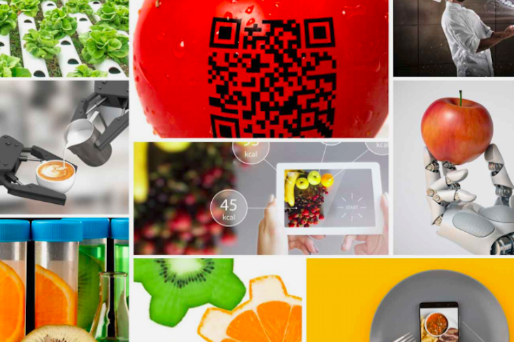 La innovación, clave en el éxito del sector Foodtech español - Foto ICEX