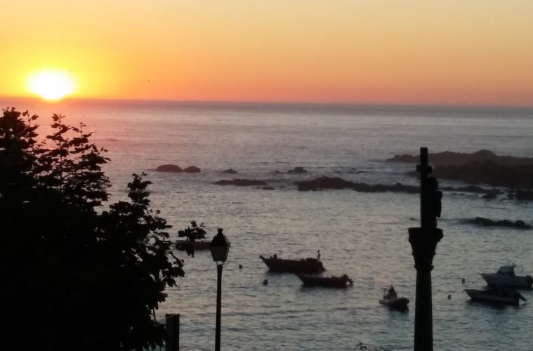 Nuevas medidas para regular la pesca de la caballa en Asturias y Lugo - Foto MAPA