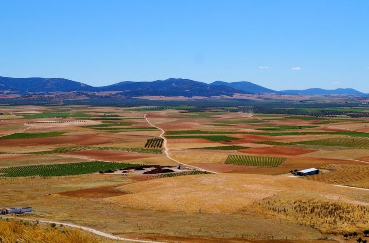 17 entidades bancarias se han sumado ya al IFGC para el acceso a créditos del sector agroalimentario