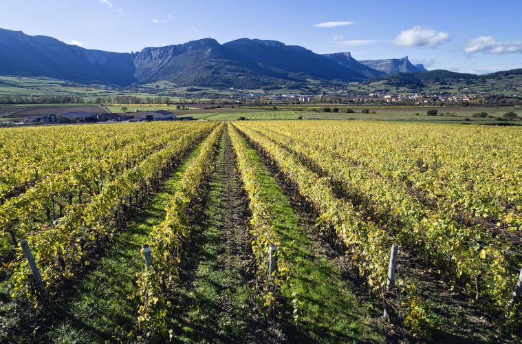 La Ruta del Txakoli, nueva Ruta del Vino de España - Foto ACEVIN