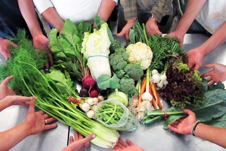 En el Día Mundial del Medio Ambiente, razones para impulsar la agricultura familiar