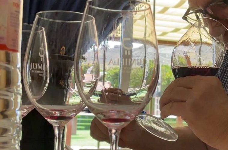 La añada 2021 de Jumilla, calificada como Excelente - Foto DOP