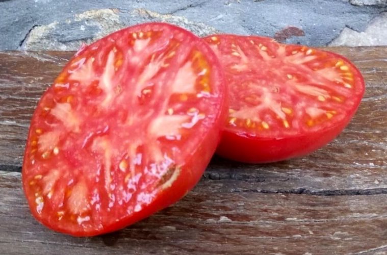 El tomate de Aretxabaleta, elegido de nuevo el mejor de España