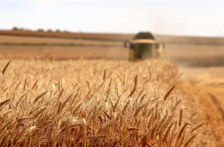 Hacia la soberanía alimentaria de la Unión Europea