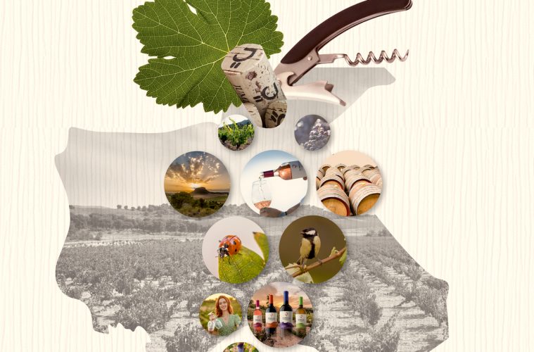 Jumilla prepara ya su primera Feria del Vino y del Enoturismo