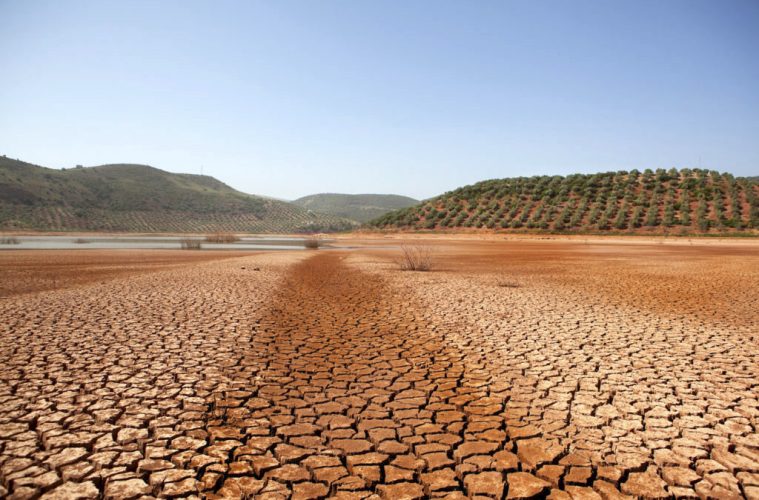 Nueva edición del concurso FotoRural con la crisis climática como protagonista Foto edición anterior