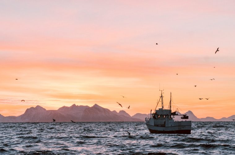 Luz verde de Europa al programa español del Fondo Marítimo de Pesca y Acuicultura