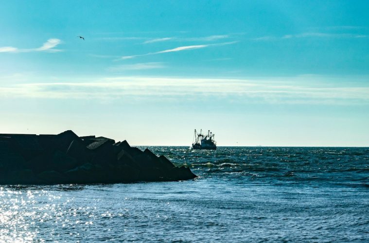El Consejo de Ministros de Pesca de la UE aborda un complicado acuerdo sobre las cuotas 2023