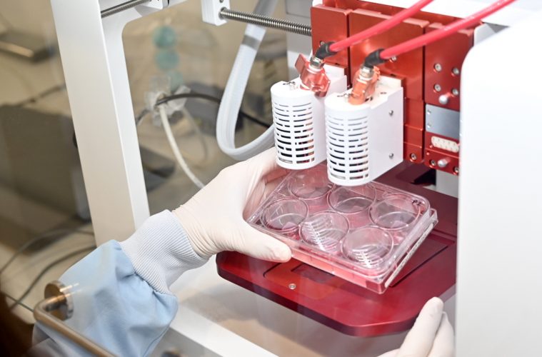 Hacia la producción de carne cultivada a nivel industrial - Foto AINIA