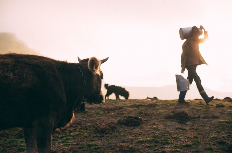 En marcha un registro oficial de contratos alimentarios