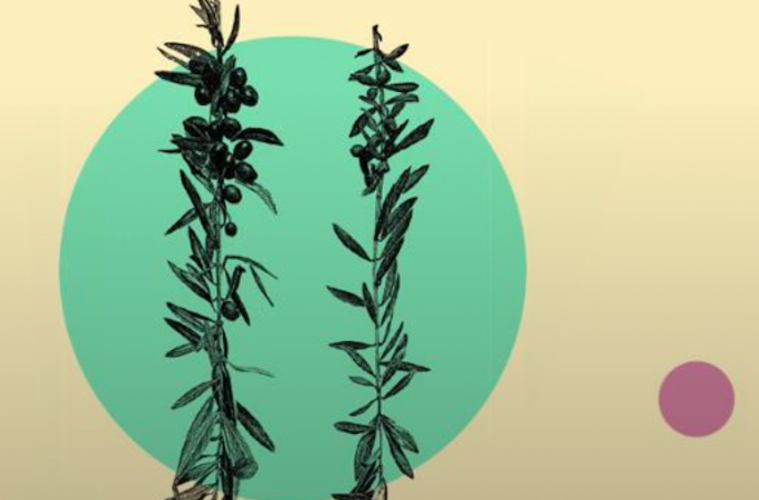 Las mujeres del aceite de oliva toman la palabra en la World Olive Oil Exhibition