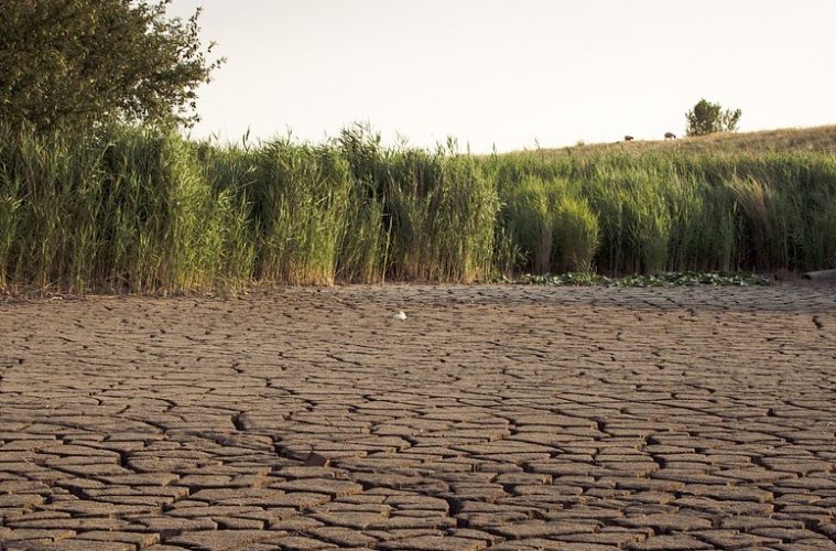 81 millones de euros de la reserva agrícola europea para paliar la sequía en España