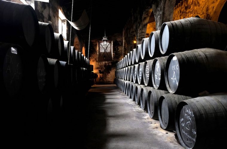 Las Rutas del Vino más visitadas de España. Foto ACEVIN