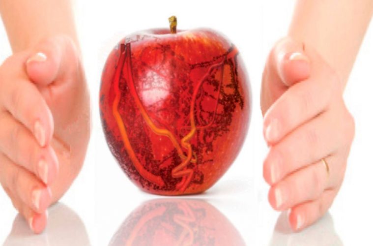 El estudio CordioPrev Premio Nacional de Gastronomía a la Investigación