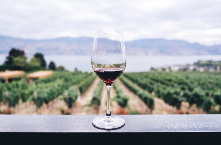 El sector vitivinícola europeo reivindica la importancia del vino en la UE