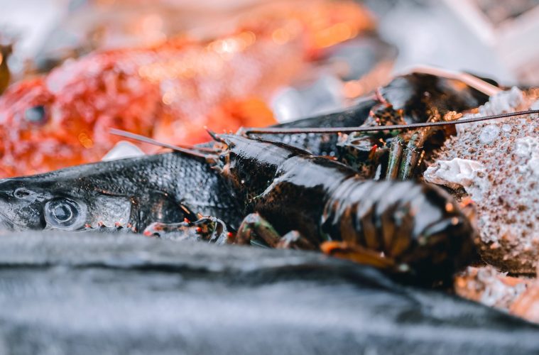 Hacia un mayor diálogo entre pescadores y cocineros