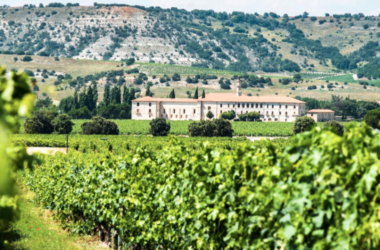 Los vinos, bodegas, vinotecas y profesionales del sector más destacados del año