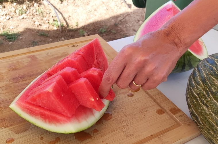 Agosto comienza con una mejora en la producción de melón y sandía