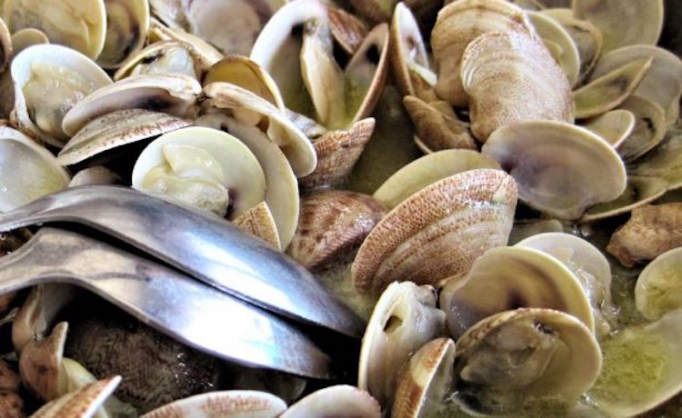 Almejas al cava